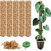 PlantScraper Tutore in Muschio per Monstera 5 Pezzi 39 x 6 cm - Supporto Estensibile e Set Accessori - Pali per Piante con Velcro e Muschio - Ottimizzato per Aroidi - Sostegno per Piante Rampicanti