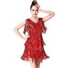 Generico Abito da Ballo Latino da Donna Vestito Ballo Latino Donna Frange Abito daSalsa Tango con Paillettes Senza Maniche Vestito da Danza Classica Jazz Vestiti Ballo SambaRumba Competizione