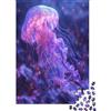 VFKLZCNYR Quallen Puzzle Adulti 1000 Pezzi Giochi Di Puzzle Impegnativi Enigma Impossibile Idea Regalo Per Adulti Decorazione Della Parete Dei Della Cornice 1000pcs (75x50cm)