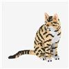 BlueBrixx Pro 107715 - Gatto tigrato 3D da costruire con Diamond Blocks (2329 pezzi) | Modello realistico in mattoncini da costruzione | Idea regalo perfetta per amanti dei gatti e collezionisti