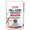 Biovita Whysport Collagene Rigenera Articolazioni 336 G