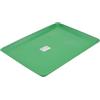 Toyvian Fondo Resistente agli Odori e Sicuro in Plastico Verde per Gabbia Coniglio Accessorio per Animali Domestici per Toilette e sotto Gabbia in Casa
