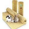 N Nagerteppich.de Tappeto per roditori in 100% canapa, 150 x 80 cm, spessore 5 mm, per tutti i tipi di piccoli animali, per roditori (1 pezzo)