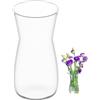 CiciIng Vaso di vetro per fiori, vaso di vetro trasparente, 20CM alto Vaso di vetro per la decorazione della tavola, vaso decorativo per erba pampa, tulipani, orchidee, rose, fiori secchi