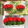 Shimilili 6 Gerani Artificiali Esterni Realistici, Piante Finte UV Resistenti Balcone Cespugli Finti Fioriti Arredo Giardino Interno