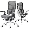 SIHOO Doro S300 Sedia Ergonomica da Ufficio, Computer, Gioco con Supporto Lombare Dinamico Duale, Braccioli Coordinati 6D, Spedito in 2 Pacchi Separati (Nero Velluto Rete)