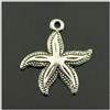 DLM Bomboniere DLM-29007 (Kit 24 Pezzi) Ciondolo Ciondoli Charm Charms Stella Marina Mare Confettata Fai da Te bomboniera