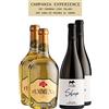 Telaro Campania Experience Vini Campani Bianchi Falanghina Femmena Telaro Coda Di Pecora Sheep Il Verro Promo 4 Bottiglie