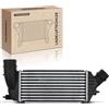 Frankberg Intercooler Compatibile con 807 EB 2.0 HDi C8 EA EB 2.0 HDi 135 Scudo Furgone 270 272 2.0 D MultiJet Expert Tepee VF3X 2.0 HDi 165 Expert Tepee VF3X 2.0 HDi 130 Replace# 0384P2,96467