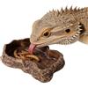 Duuclume Duulcume Pets - Ciotola per cibo e acqua per rettili, design realistico con roccia, con cuscinetto antiscivolo, adatta per piccoli animali domestici (marrone, M)