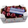 Delizie Vaticane di Tropea Cipolla Rossa di Tropea Calabria IGP - Dolcissima, Croccante e Rossa, Cipolle di Tropea - Delizie Vaticane di Tropea 2,5Kg