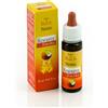 Guna Resource enerjoy gocce 20 ml - 931543591 - igiene-e-salute/rimedi-omeopatici/tinture-madri
