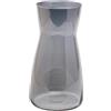 CiciIng Vaso per fiori in vetro trasparente, alto 20 cm, per decorazione da tavolo, vaso decorativo per erba della pampa, tulipani, orchidee, rose, fiori secchi (grigio fumo)