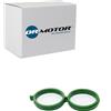 DR.MOTOR AUTOMOTIVE DRM0509 Guarnizione Valvola regolaz. reg. minimo- Alimentaz.ne aria