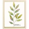Thun Rituali Domestici Portafoto Senzafiltri Double Verde Legno vetro 29x4x24 cm di Thun