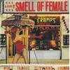 BIG BEAT Smell Of Female
