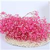 YIWOYI Bouquet di fiori secchi naturali, Gypsophila paniculata, ideali per feste di nozze o decorazione della casa,40-55 cm, 80 g, rosa