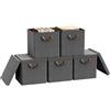 WOLTU Scatole Contenitori Pieghevoli Set di 5, Cubi in Tessuto con Coperchio, Manico e Struttura in Metallo, Organizer per Scaffale e Armadio, Grigio, 30x30x29cm