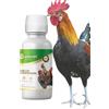 AVIANVET Galli Competition B12 + ferro, integratore energetico per pollame e ornamentali, vitamine B e ferro per prestazioni, recupero e vitalità (100 ml)
