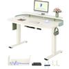 FLEXISPOT Scrivania Regolabile in Altezza, Doppio Motore, Scrivania Ergonomica da Ufficio con Piano Unico da 25 mm 120x80 cm, Gestione Cavi, Funzione Memory e Display Altezza