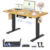 FLEXISPOT Scrivania Regolabile in Altezza 120x60 cm, 2 Motori, Piano Unico 25 mm, Memoria & Display Altezza, Ergonomica con Gestione Cavi, Ripiano Sottoscrivania, Ganci e Clip Fermacavi