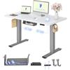FLEXISPOT Scrivania Regolabile in Altezza 120x60 cm, 2 Motori, Piano Unico 25 mm, Memoria & Display Altezza, Ergonomica con Gestione Cavi, Ripiano Sottoscrivania, Ganci e Clip Fermacavi