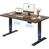 FLEXISPOT Scrivania Regolabile in Altezza Elettrica 160×80 cm con Doppio Motore, Piano Unico da 25 mm, Gambe Telescopiche a 3 Sezioni EC5 LITE