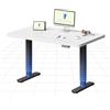 FLEXISPOT Scrivania regolabile in altezza (gambe rotonde) - Workdesk di design compatto 120 x 60 cm per ufficio domestico, piano di lavoro regolabile elettricamente con memoria e ascensore silenzioso