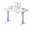 FLEXISPOT Scrivania regolabile in altezza con gambe rotonde - Posto di lavoro estetico con proporzioni equilibrate e presenza tranquilla, 100 x 60 cm (bianco + bianco)