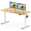 FLEXISPOT Scrivania Regolabile in Altezza 140x80 cm, Standing Desk Elettrica con Pannello Intero, Spessore 25mm, Telaio in Acciaio Massiccio a 2 Stadi, Motore Potente, Gancio Laterale