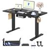FLEXISPOT Scrivania Regolabile in Altezza a 2 Motori 120x60 cm con Piano Unico, Pannello con Memoria, Portata 100 kg