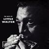 Hallmark The Best Of Little Walter