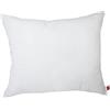 POWER INN - Fodera per cuscino in cotone | 50 x 60 cm | Imbottitura per cuscino lavabile come cuscino decorativo, cuscino per divano e cuscino | Imbottitura in cotone Oeko Tex 100 (1, 50 x 60 cm)
