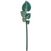 VESTA Fiore decorativo Funny Flowers - Maranta - 10xH47,4 cm - Cristallo acrilico - Made in Italy