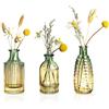 Joeyan Piccoli Vasi in Vetro Set di 3 - Vasi Monofiore Vintage - Mini Vaso di Fiori Colore per Decorazioni Casa, Tavolo da Pranzo, Feste