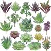 miltonson Piante grasse artificiali, confezione da 18, piante grasse finte di alta qualità, doppio floccato, cactus testurizzato realistico, piante grasse per il viso, mini piante grasse finte,
