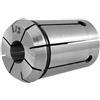 Ruilogod Strumento di pinza a molla a morsetto da 12 mm in acciaio inox