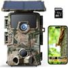 Fotocamera da caccia solare 4K 60 MP - visione notturna | scheda SD 32 GB inc...