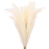 PATIKIL Pampas Decor Artificiali Alte 37.8 Pollici, 7 Pezzi Grandi Pampas Artificiali Soffici E Lunghi Finti Erba Secca Per Decorazioni Casa Boho Vasi Matrimonio Parete Pavimento, Beige