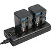 DSTE DE DSTE 2 batterie di ricambio NP-FM70 + caricatore USB doppio con display LCD, compatibile con NP-QM71D NP-QM71 DCR-PC115 DCR-PC120 DCR-PC330 DCR-TRV25 DCR-TRV27