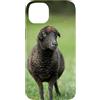 Cadeau Personnalisé beau Coeur D'Amour D Custodia per iPhone 14 Plus Pecora nero carino prato natura country