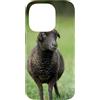 Cadeau Personnalisé beau Coeur D'Amour D Custodia per iPhone 14 Pro Pecora nero carino prato natura country