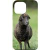 Cadeau Personnalisé beau Coeur D'Amour D Custodia per iPhone 13 Pro Max Pecora nero carino prato natura country