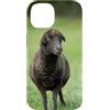 Cadeau Personnalisé beau Coeur D'Amour D Custodia per iPhone 14 Pecora nero carino prato natura country
