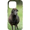 Cadeau Personnalisé beau Coeur D'Amour D Custodia per iPhone 16 Pro Pecora nero carino prato natura country