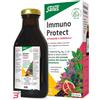 SALUS HAUS GMBH & CO KG SALUS IMMUNO PROTECT 250 ML
