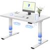 FLEXISPOT Scrivania Regolabile in Altezza con Doppio Motore e Porta USB, Piano Monoblocco da 25 mm, Gambe a 3 Sezioni, Portata 120 kg, 4 Memorie, Rilevamento Ostacoli, 120×80 cm