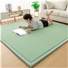 Generico Materasso Da Pavimento Giapponese Materasso Futon, Materassino Tatami Letto Da Pavimento Pieghevole Arrotolabile For Campeggio, Camera Degli Ospiti For Adulti(Dark green,200x250)