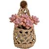 Generico Porta Piante da Interno,Arredamento casa boho e | per Piante Fatta a Mano Arredo Parete | Per Vasi Da Fiori, Interno, Camera Da, Cucina, Porta, Ufficio, Hotel, Casa