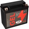Landport Batteria 12V 20Ah per avviamento moto MG LTX20-3